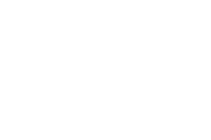 logo transparent white1
